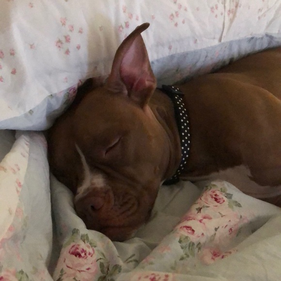 Meet your Posher, Linnea - Picture 1 of 1